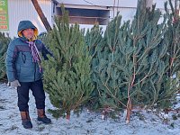 Новогодняя сказка приближается: в Аркадак завезли ёлочки