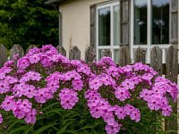  Пять сельских адресов красоты