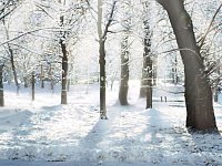 Выходные обещают аркадакцам кратковременное потепление и снег