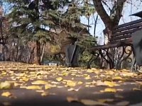 Около реабилитационного центра для участников СВО создан новый сквер