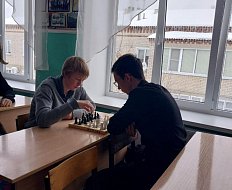 Аркадакские школьники поучаствовали в интеллектуальной битве