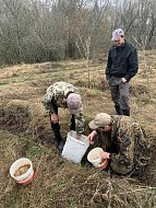 Аркадакское лесничество посеяло жёлуди дуба черешчатого