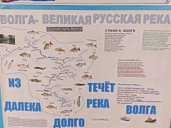 В Ивановской школе прошла неделя географии