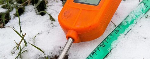 Озимые культуры в  Аркадакском районе успешно перенесли перезимовку