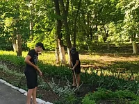 Во время летних каникул в Аркадакском районе  временно работали 142 подростка