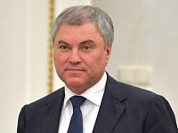 Володин поздравил российских мам с праздником