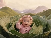 Саратовцам предлагают познакомиться с возможностями нацпроекта "Семья"