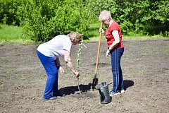 Учительский сад: живая память и эстафета поколений