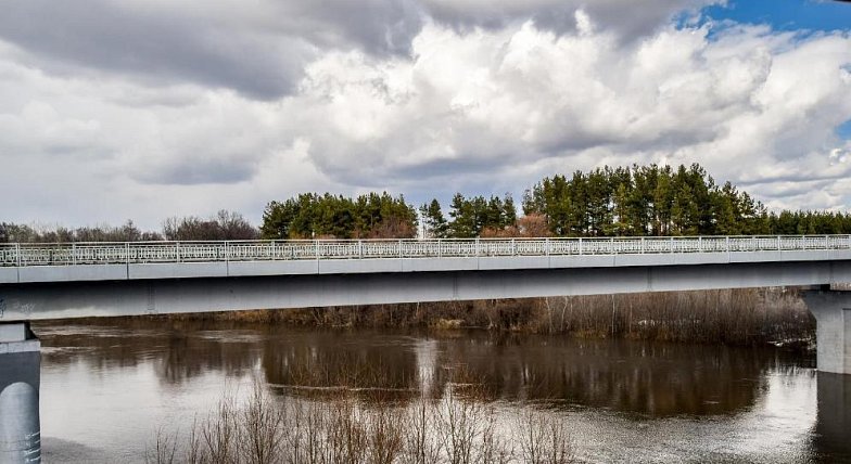 Пик весеннего половодья в Аркадакском районе пройден