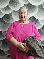 Жители Малиновки и Ольшанки собрали новогодние посылки бойцам